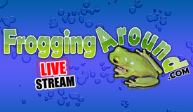 frogs faqs